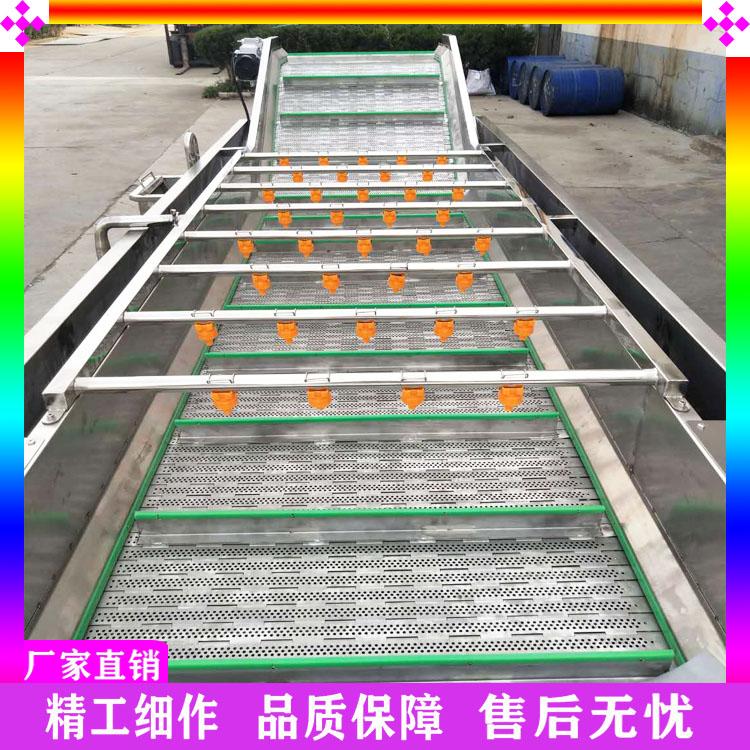 辣椒清洗机 小油菜清洗流水线 根茎类蔬菜清洗机 生菜果蔬臭氧清洗机 喷淋去杂洗菜机