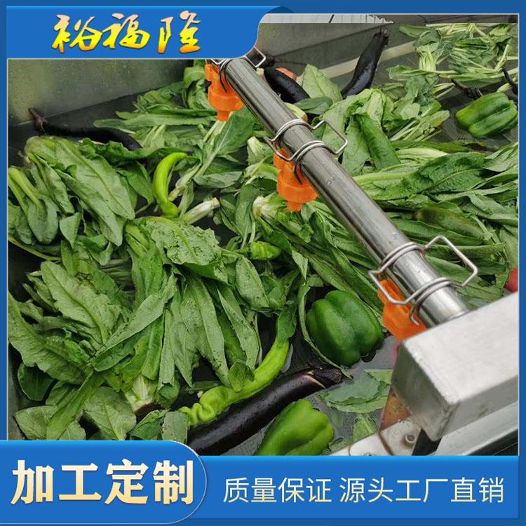 供应高压气泡清洗机 果蔬气泡清洗机 洗葱机 沃柑清洗机