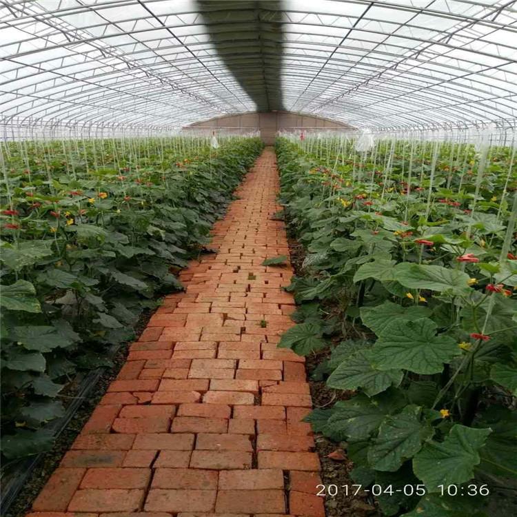 温室技术 连栋薄膜温室 温室工程建筑厂家  连栋温室 薄膜温室