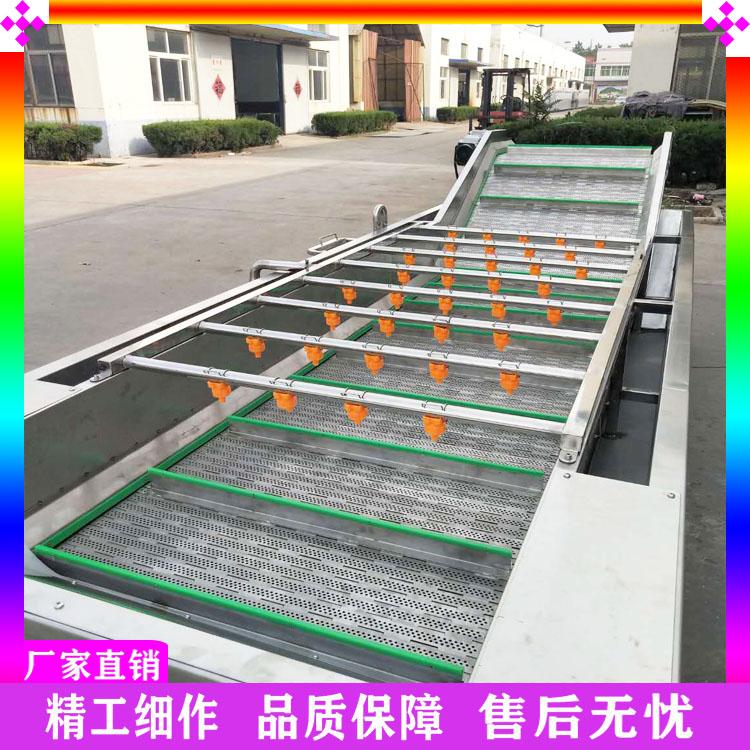 蔬菜清洗加工设备 油菜生菜清洗机 喷淋式菠菜清洗机 不锈钢果蔬清洗机