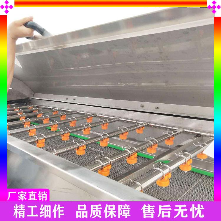 菠菜油菜去泥清洗机 叶菜类预煮线 气泡冲浪洗菜净菜设备 豆角杀青护色清洗机