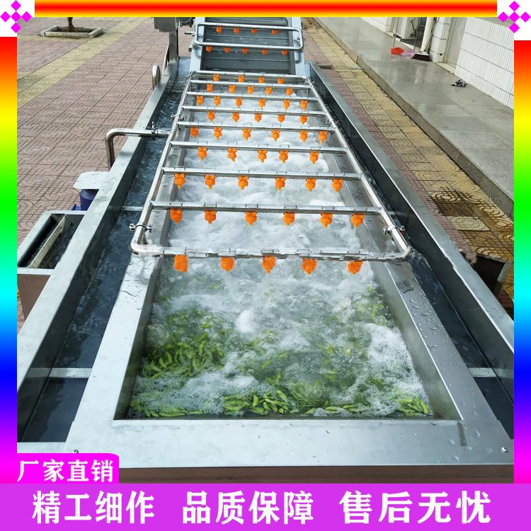 定制连续气泡清洗机 油菜野菜喷淋式清洗机 油菜漂烫冷却线 豆角杀青护色清洗机