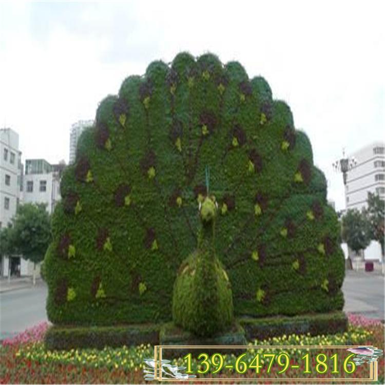 孔雀花卉景观造型 十一广场花卉造型图片 花卉造型图案