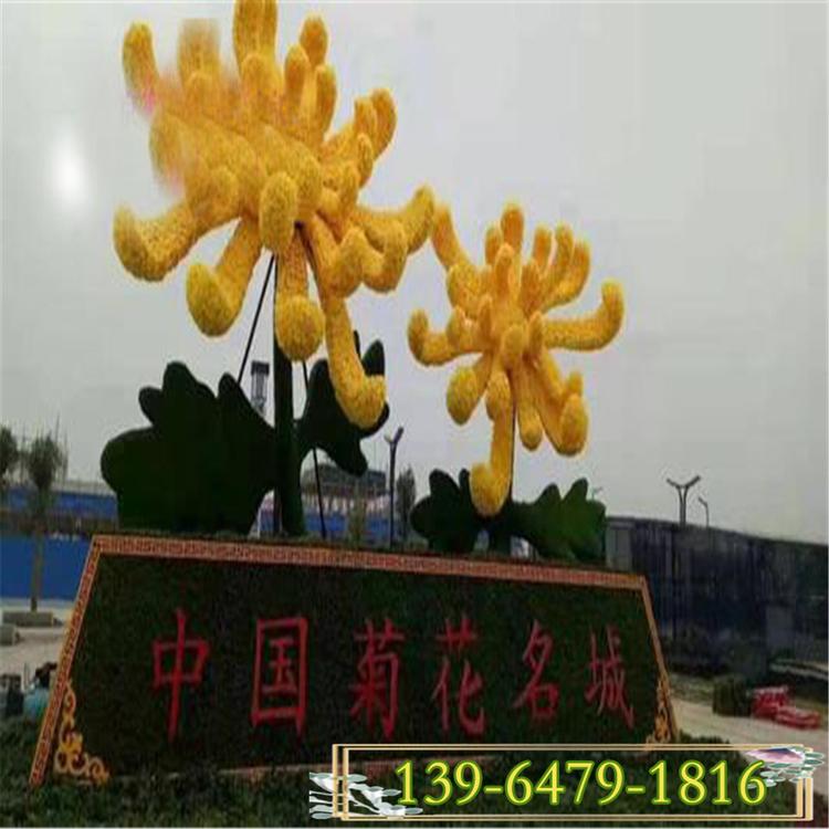 立体菊花造型设计 园林花卉造型 绿雕造型图片