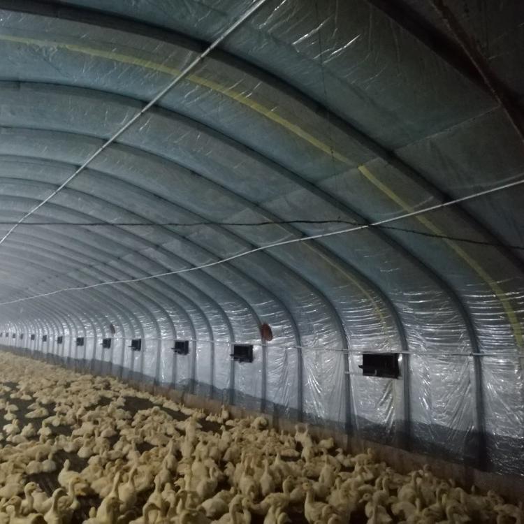 肉鸭养殖大棚肉牛肉羊养殖大棚值得信赖养猪养殖大棚
