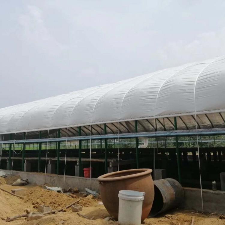朗德鹅养殖大棚建设 陕西养猪大棚 蛋鸡养殖大棚建设