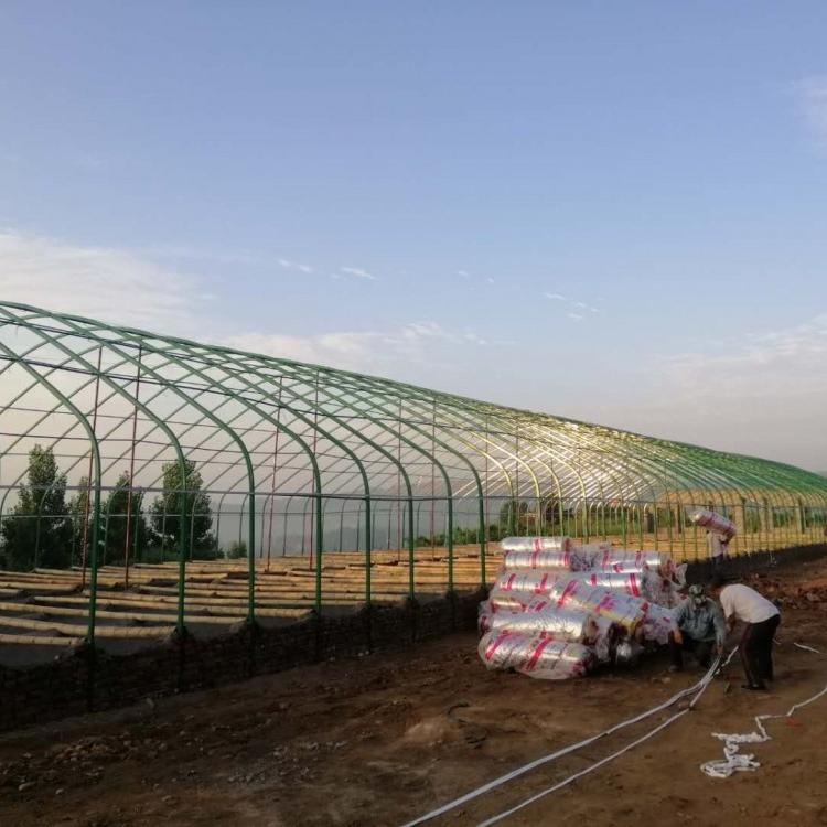 安装高质量的朗德鹅养殖大棚肉鸡肉鸭猪舍温室养殖大棚
