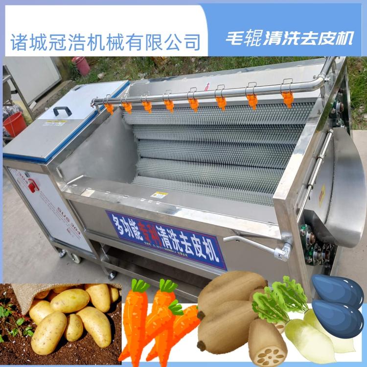 红薯紫薯清洗去皮机 地环芥菜榨菜去泥清洗机   鱼鳞去皮清洗机 土豆 芋头 山芋 香芋去皮机