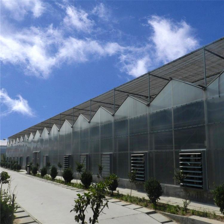 阳光板温室承建 大棚厂家定制