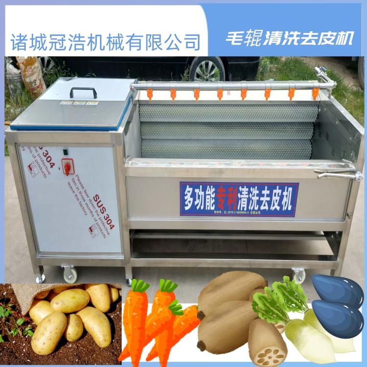 全自动毛辊去皮清洗机 鲜花生去泥机 土豆（马铃薯）去皮去泥设备 厂家直销毛辊清洗去皮机 全自动毛辊果蔬去皮清洗机   洋芋 山芋 香芋去皮机  地瓜去皮机