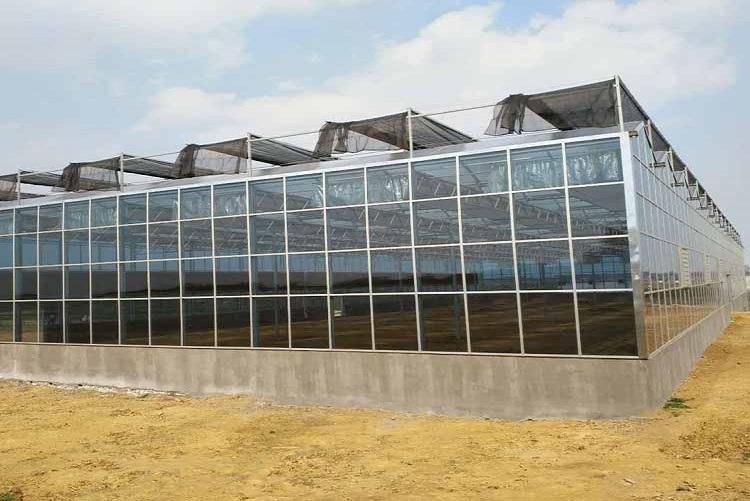 阳凯温室【先丈量再设计】智能温室大棚安装 连栋智能温室大棚承建