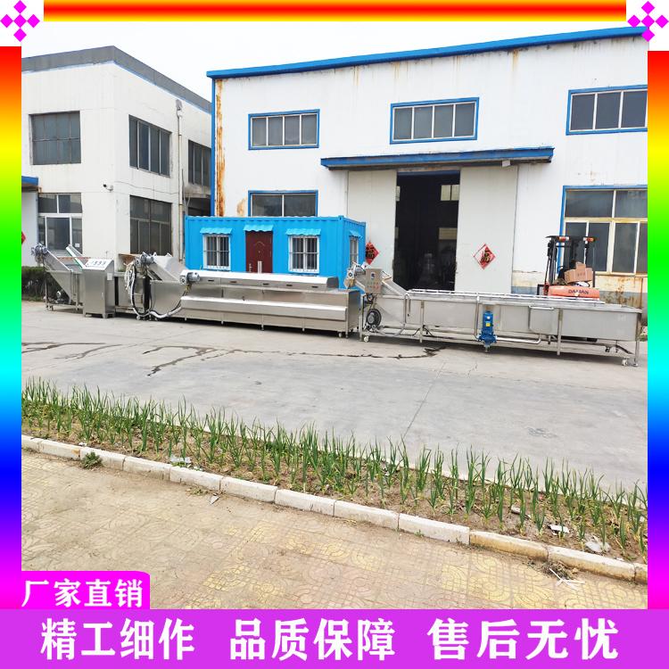 厂家直销净菜加工生产线 全自动油菜菠菜气泡清洗机 根茎类蔬菜清洗机 韭菜加工流水线