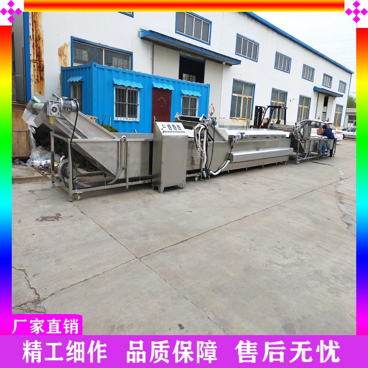 加工定制叶类菜气泡清洗机 全自动蔬菜清洗机 不锈钢生菜清洗机 净菜加工流水线