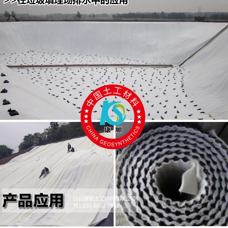 排水网 三维隧道土工复合排水网 板屋顶绿化用蓄排水板