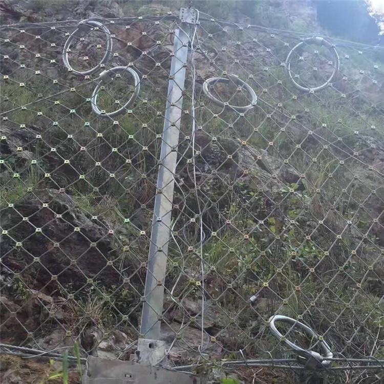 腾源 主动山体滑坡防护网 山体防落石网 规格齐全