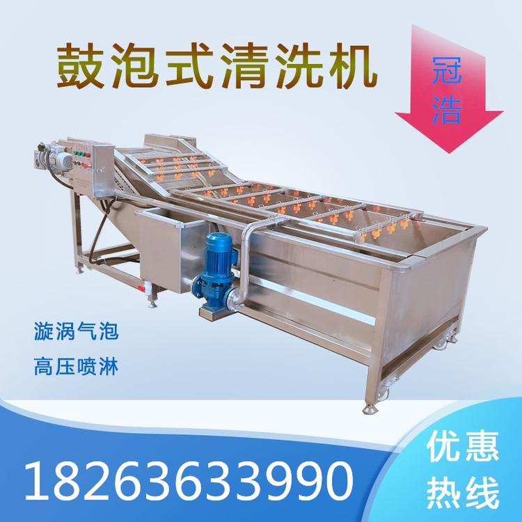 全自动辣椒气泡清洗机洗花生瓜果类蔬菜机器商用山野菜地环洗泥机