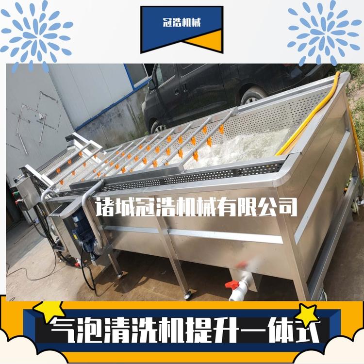 厂家直销连续式多功能气泡喷淋清洗机 花生 土豆 大姜 去泥全自动清洗机  净菜加工流水线厂家直供 冲浪喷淋式 多功能洗菜机
