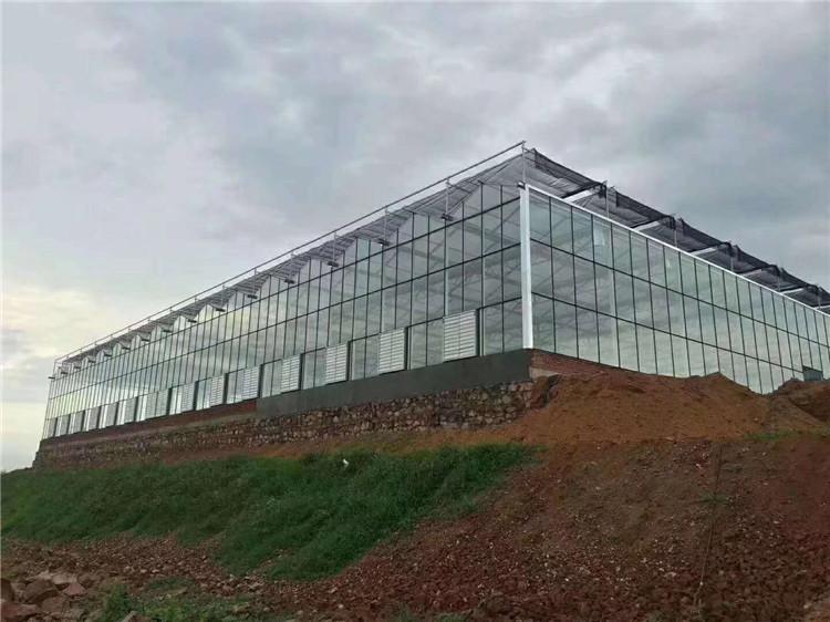 智能温室大棚 智能温室大棚建设 智能玻璃温室材料 天之蓝温室