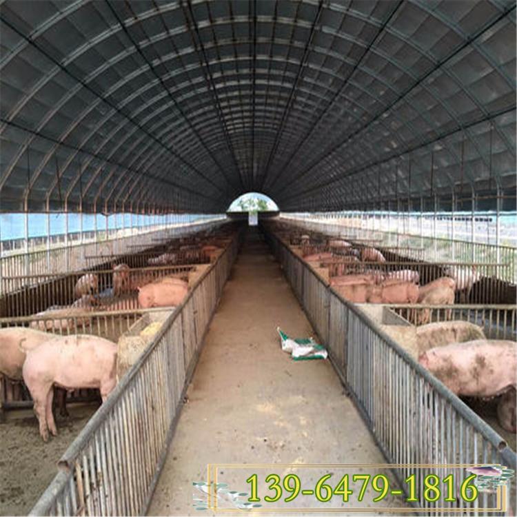 养殖大棚骨架厂价格 建一个养猪大棚价格 连体温室大棚