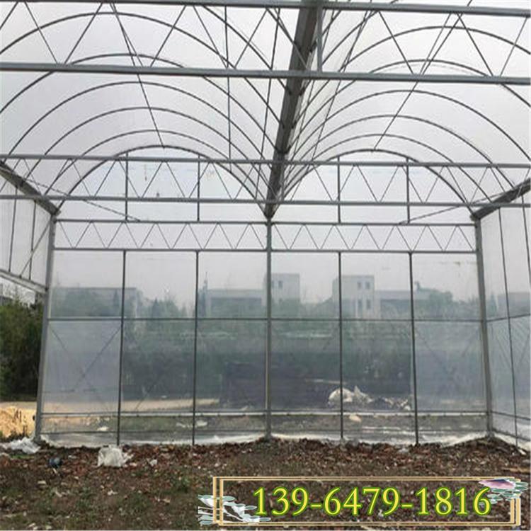 建设各种大棚骨架 跨度大的连栋温室 养猪大棚每平方价格
