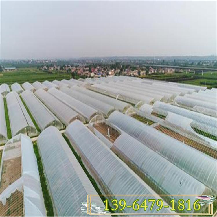 12米花卉温室大棚 蔬菜大棚图片 寿光新型温室大棚