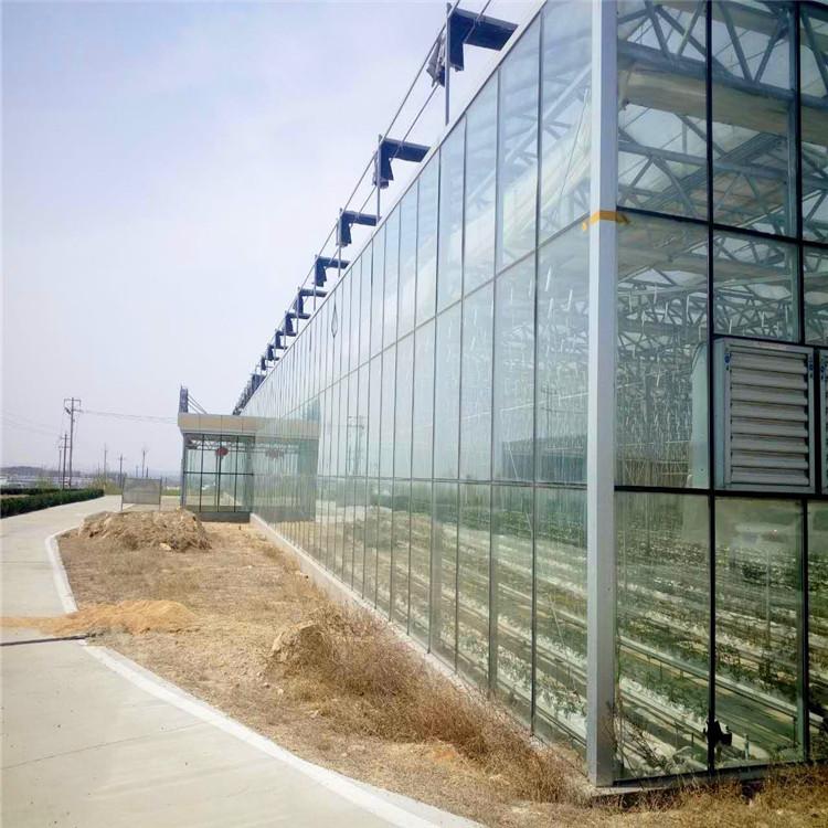 温室大棚建设 阳光板报价