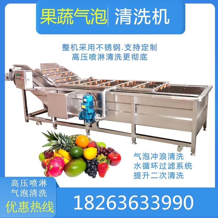 果蔬气泡清洗机 商用 洗菜机全自动葡萄辣椒喷淋式流水线地环洗泥机