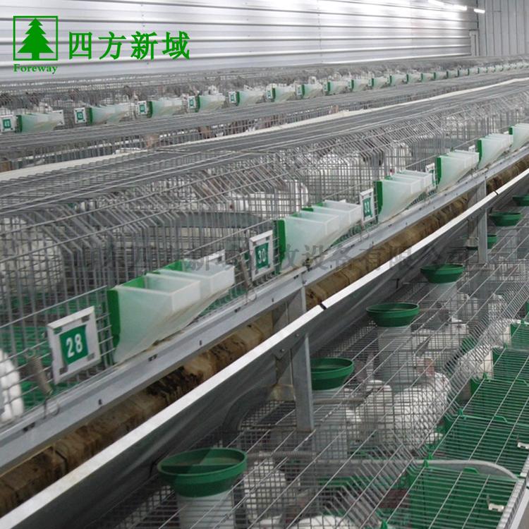 欧式兔笼 厂家直销笼具 商品种兔笼养殖
