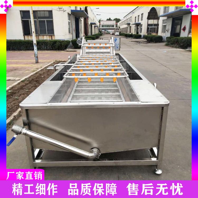枇杷果高压喷淋清洗机 枇杷果气泡清洗机 气泡鼓浪式沙棘果清洗机 银杏果药材清洗机