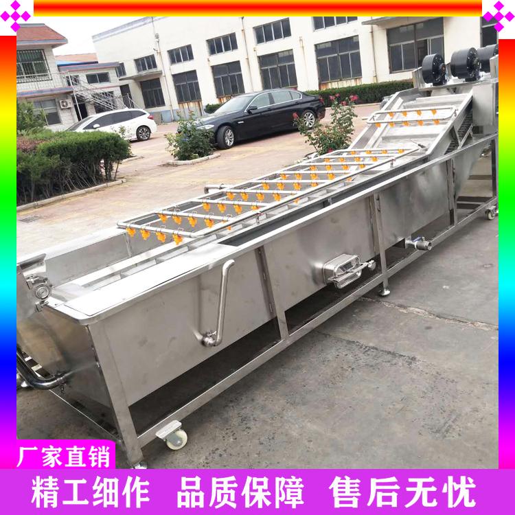 生菜雪菜清洗机 酱菜气浴清洗机 海带脱盐清洗机 油麦菜臭氧杀菌清洗机