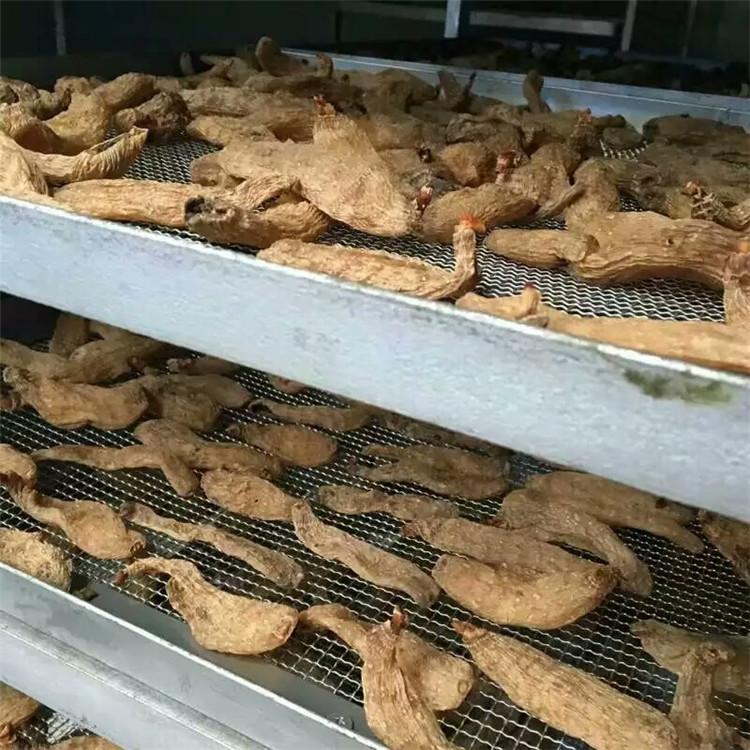 地瓜干烘干机 红薯专用热风循环烘干机 箱式烘箱厂家
