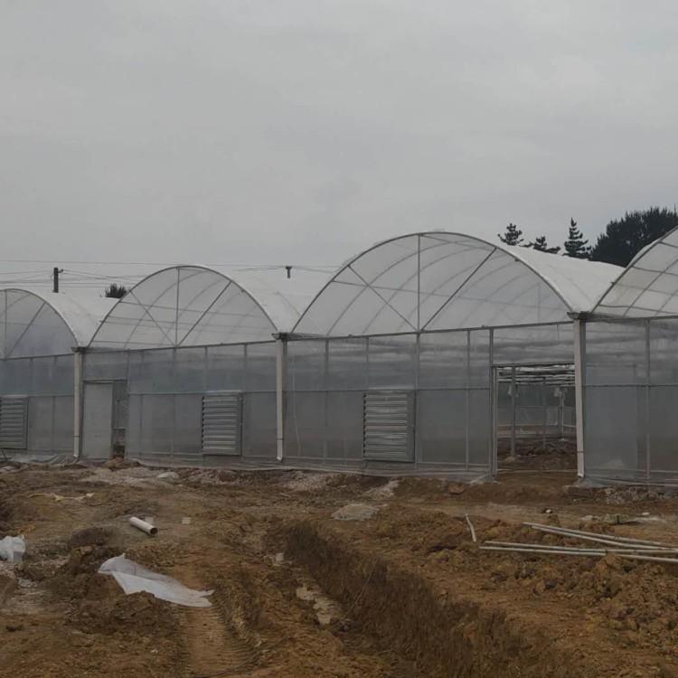 新余热镀锌大棚骨架连栋温室大棚外遮阳连栋大棚花卉大棚玻璃温室-蔬菜大棚花卉单体连体温室大棚养殖大棚规格齐全