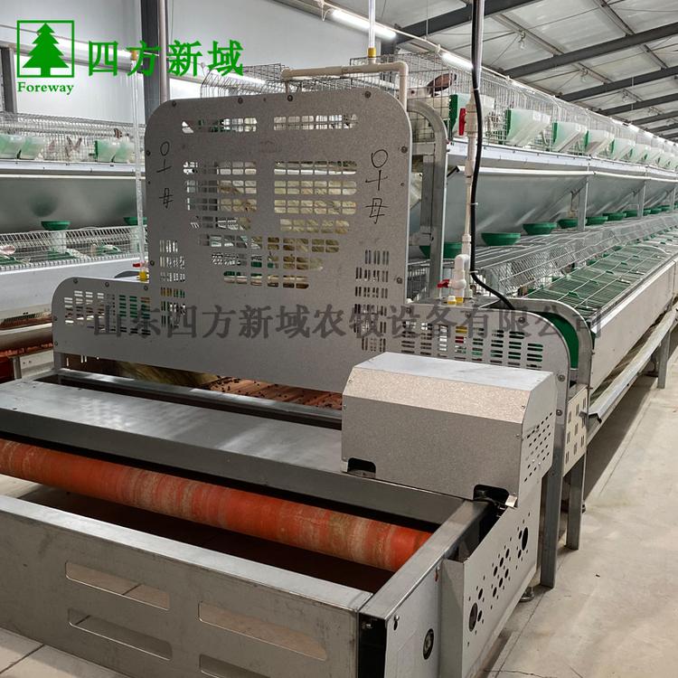 欧式兔笼加工定做 新型兔子繁殖笼 欧式子母兔笼 种兔繁育一体笼