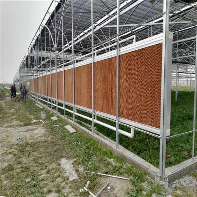 山东多面体直营10公分15公分水帘湿帘 降温水帘价格 尺寸定制 全国发货