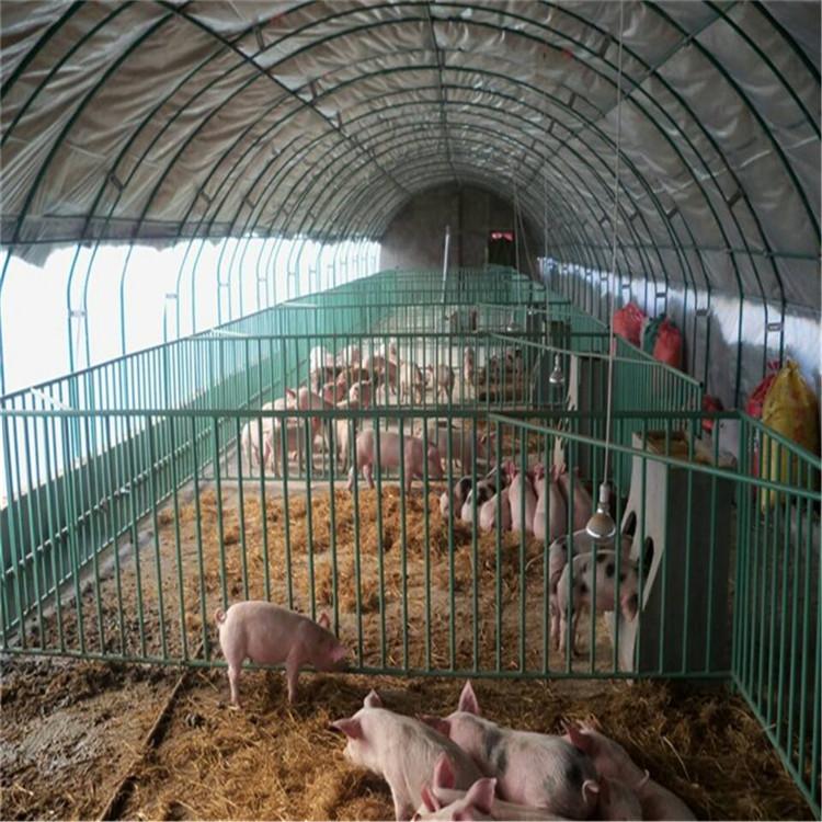 来电咨询水产养殖温室  室外温室大棚建设商 饲养周期短 欢迎洽谈
