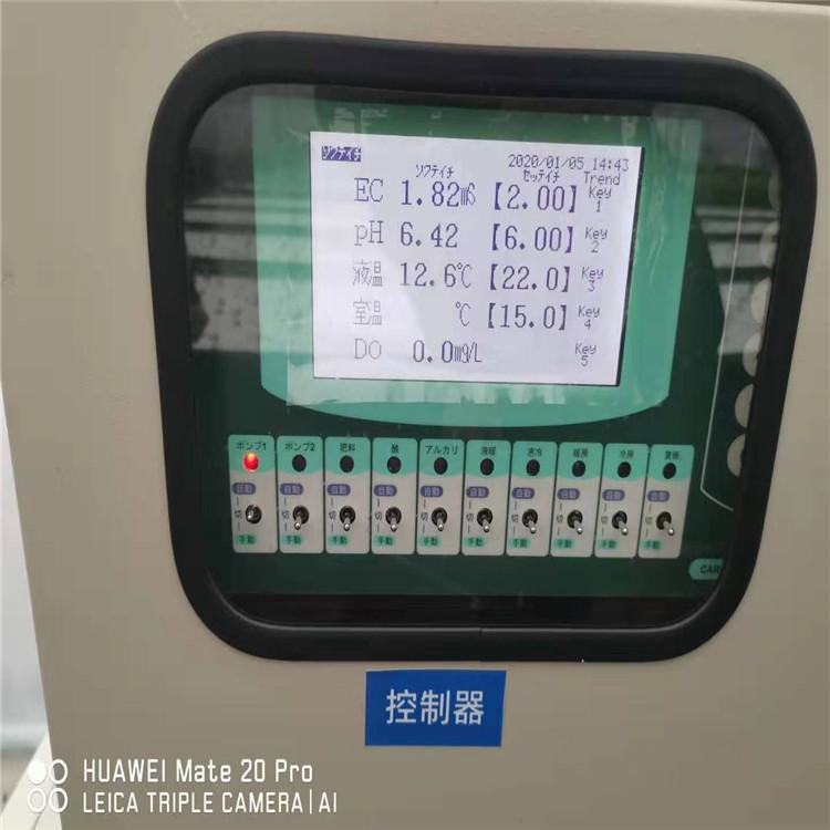 M式水培叶菜系统  无土栽培 M式水耕技术 蔬菜种植无土栽培技术 信誉至上