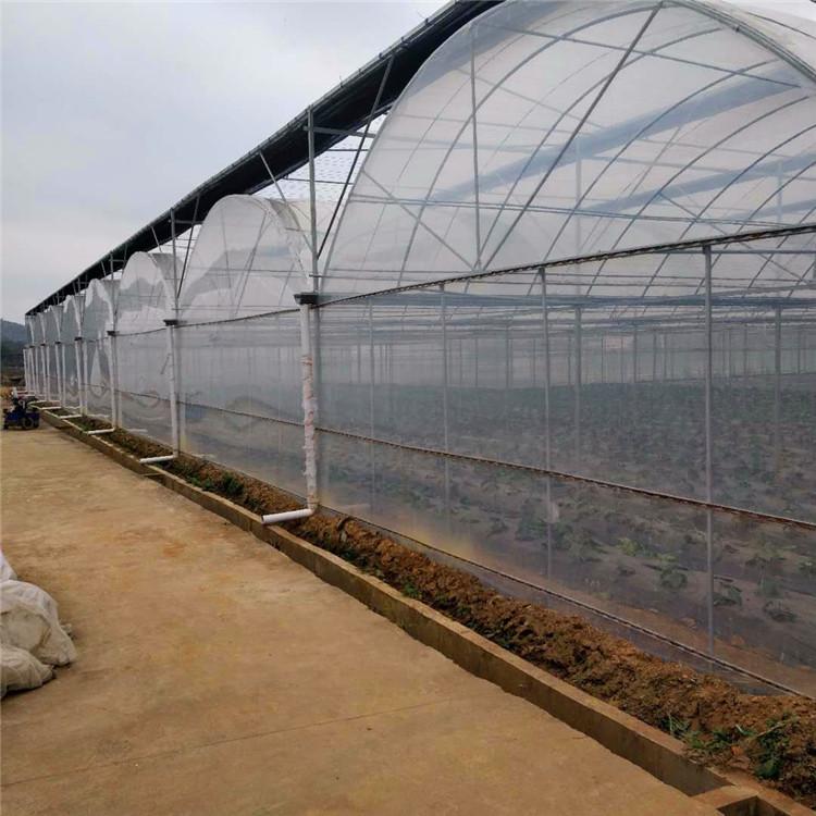 连栋薄膜温室骨架 厂家专业咨询