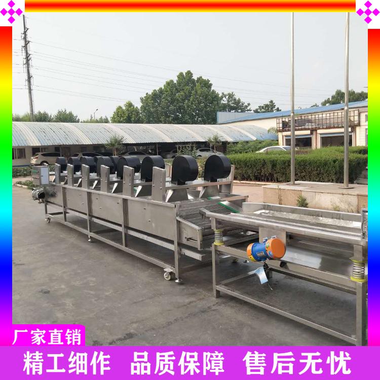 翻转式软包装清洗风干线 蔬菜震动沥水机 大枣枸杞清洗风干流水线厂家直销
