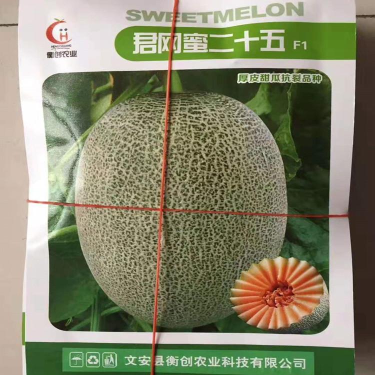温室种植哈密瓜种子   哈密瓜种子价格便宜