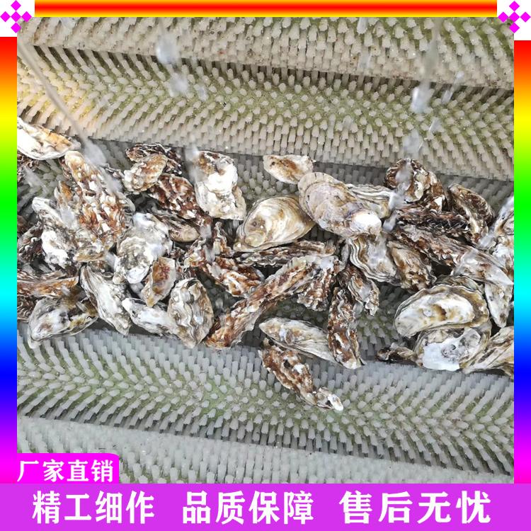 海蛎子毛辊清洗机 胡萝卜毛刷清洗机 海鲜类毛辊清洗机 青核桃脱皮清洗机