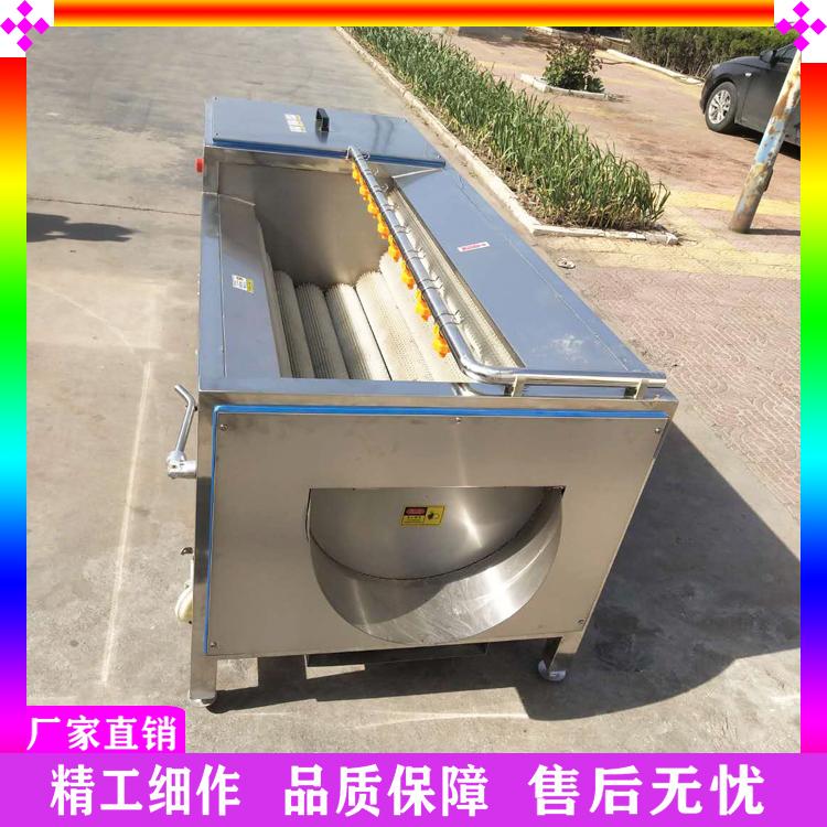 海参海蛎子去杂质清洗机 多功能毛刷清洗机 果蔬去泥机 土豆莲藕清洗去皮机