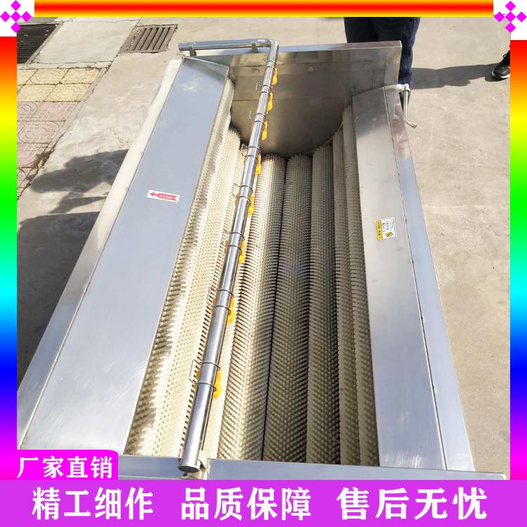 供应花生土豆毛刷清洗机 蛤蜊扇贝去泥沙杂质清洗机 洋葱地瓜芋头去皮清洗机
