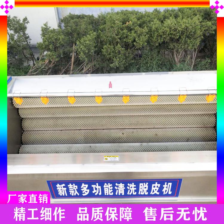 全自动洋葱脱皮清洗机 地瓜山芋清洗机 商用莲藕毛辊脱皮清洗机可加工定制