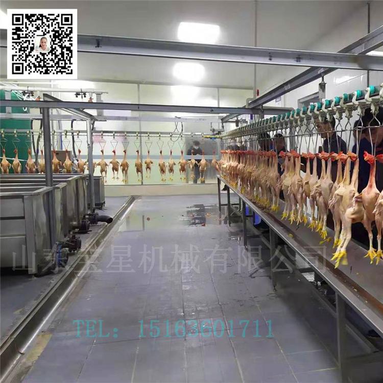 漳州 肉鸡屠宰流水线 定制整套817鸡宰杀设备