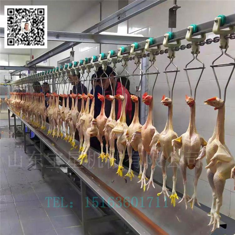 滁州 肉鸡屠宰流水线--公鸡宰杀生产线