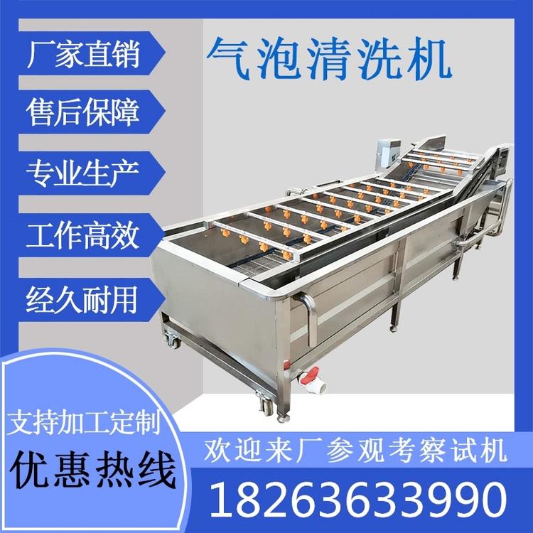 蔬菜气泡清洗机葡萄桃子西红柿辣椒 清洗洗萝卜螺丝菜洗果机毛辊清洗机