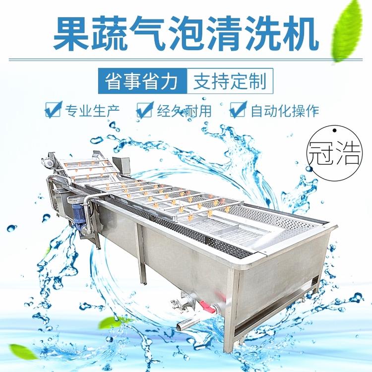 果蔬气泡清洗机 商用 洗菜机全自动葡萄辣椒  喷淋式流水线地环洗泥机