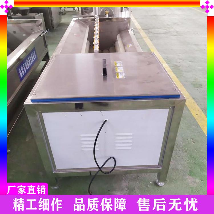 生产莲藕猕猴桃去皮清洗设备 萝卜清洗去皮机 商用毛辊清洗机 花生去泥清洗机