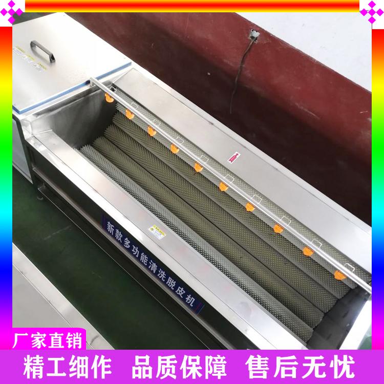 土豆莲藕去皮清洗机 根茎类蔬菜脱皮清洗机 猪蹄猪头毛辊脱毛清洗机厂家热销