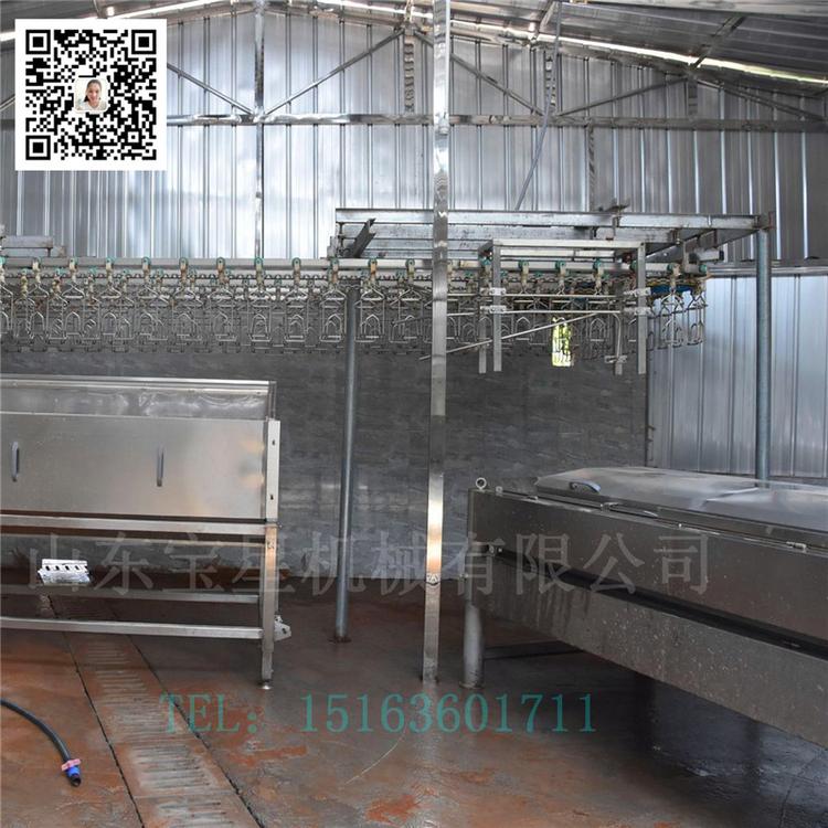 丽水  肉鸡屠宰流水线--公鸡宰杀生产线--整套杀鸡鸭鹅线机器